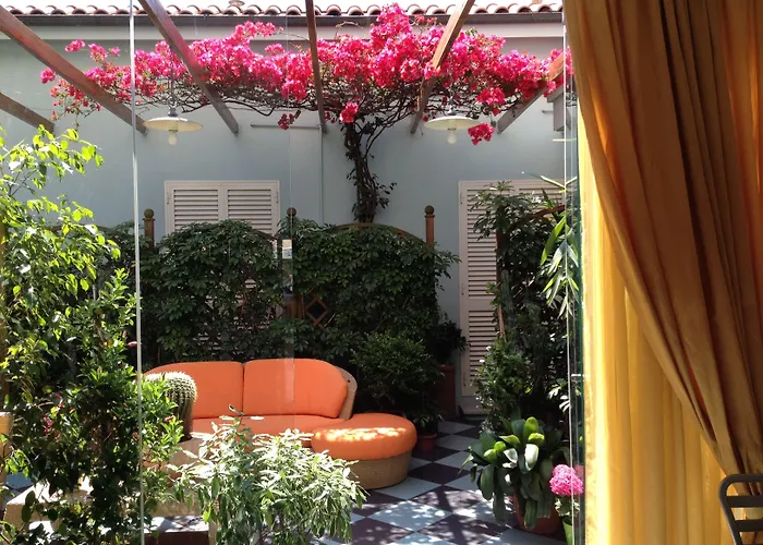 Hotel familiare: Hotel Tirrenia